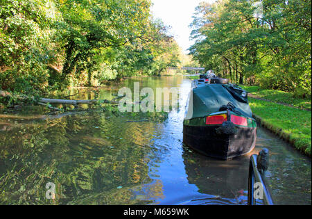 Après une nuit de vent un certain nombre d'arbres étaient tombés à travers le canal de Trent et Mersey. Ici un bateau passe d'un arbre tombé. Banque D'Images