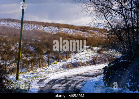 Snowscene neige Banque D'Images