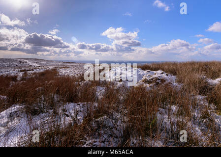 Neige hiver jour snowscene. La colline d'hiver Banque D'Images