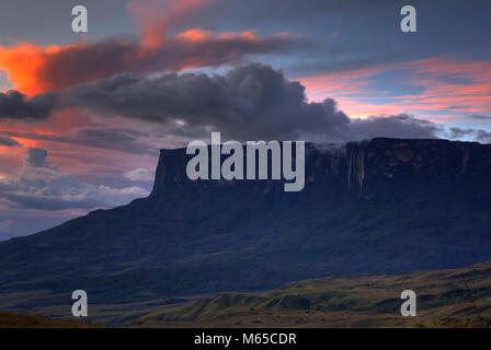 Heure d'or en Kukenan Tepui, Parc national Canaima. Banque D'Images