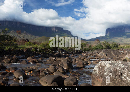 Le Roraima et Kukenan Tepui au Venezuela, Parc national Canaima. Banque D'Images