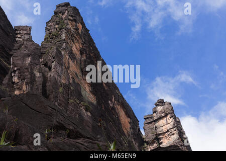 Kukenan Tepui près du Mont Roraima dans la Gran Sabana au Venezuela, Parc national Canaima. Banque D'Images