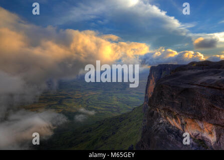 Heure d'or en Kukenan Tepui, Parc national Canaima. Banque D'Images