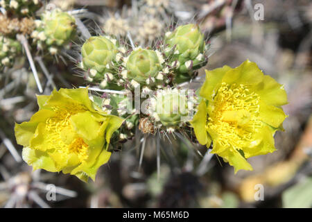 06-16-17. Banque D'Images