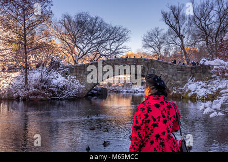 Une jeune fille debout à lakeside auxquels le Gapstow Bridge dans Central Park de New York. des branches d'arbre couvert avec neige blanche. Banque D'Images