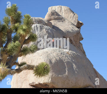 Climber Hidden Valley Campground. Banque D'Images