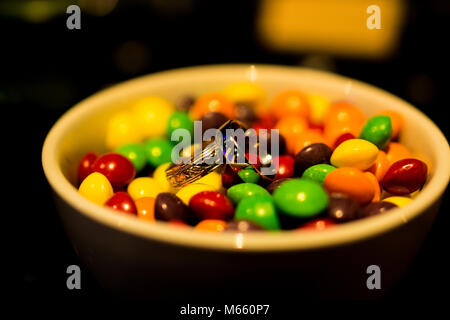 Anneaux de mariage à Skittles Banque D'Images