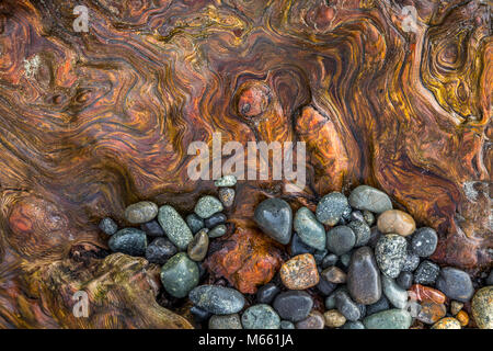 Détail de bois flotté et beach rocks - Washington, parc d'état de Fort Flagler Banque D'Images