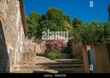 Maison en pierre, escalier et fleurs dans le centre historique de la ville de Chateauneuf-de-Gadagne. Situé dans la région de la Provence, dans le sud-est de la France. Banque D'Images