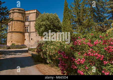 Vue sur le château de Lourmarin avec bush de fleurs au premier plan, près du village de Lourmarin. Situé dans la région de la Provence, dans le sud-est de la France. Banque D'Images