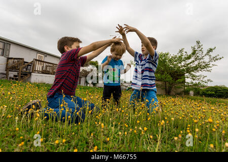 Portrait de deux frères jumeaux jouent avec des fleurs sur un DROP et les tout-petits tête dans un champ de fleurs sauvages Banque D'Images