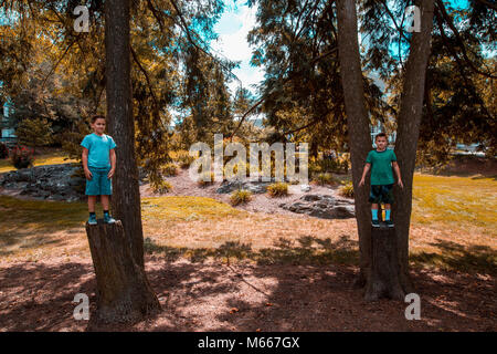 Lits jumeaux de frères de race blanche sur deux troncs d'arbre dans un parc en été et tenter de sauter Banque D'Images