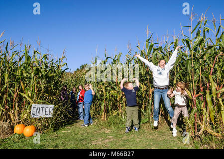 Virginie-Occidentale, Appalachia Greenbrier County, Frankford, Miller's 'Maze de maïs de type 'Mazing, WV0410100020 Banque D'Images