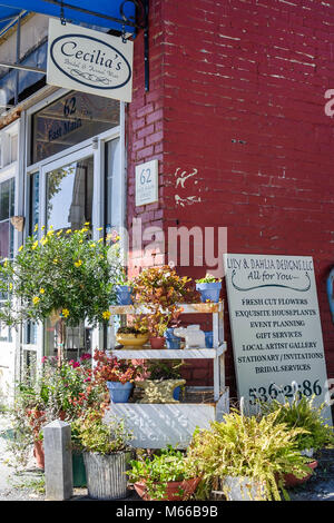 Virginie-Occidentale, Appalachia Greenbrier County, White Sulphur Springs, main Street, boutique de cadeaux, visiteurs voyage Voyage tourisme touristique site touristique Landma Banque D'Images