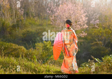 Femme debout dans un verger de cerisiers en fleurs portant des kimono japonais traditionnel Banque D'Images