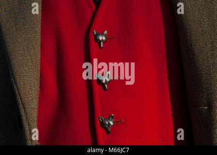 Gilet rouge avec boutons de tête de renard renard chasse au Lake District Troutbeck, Cumbria Angleterre des années 2018 2010 Royaume-Uni HOMER SYKES Banque D'Images