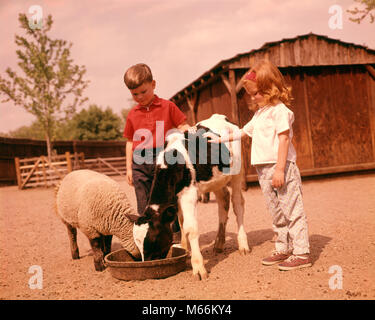 1960 LES ENFANTS Garçon et fille dans l'ALIMENTATION D'UN PIED-de-mouton et un veau Holstein - kf3808 HAR001 HARS DE PRENDRE SOIN DES ANIMAUX Les animaux de l'élevage de moutons frères soeurs NOSTALGIE VEAU AGNEAU AGRICULTURE SOLIDARITÉ ÉTÉ 3-4 ans 5-6 ans bonheur deux animaux nourrir la croissance de CORVÉE LA RESPONSABILITÉ D'ENFANT DE SE DÉVELOPPER LA COOPÉRATION CRÉATURE Nourriture Mammifères mâles juvéniles Holstein de l'origine ethnique caucasienne de basse-cour à l'ANCIENNE BASSE-COUR PERSONNES Banque D'Images