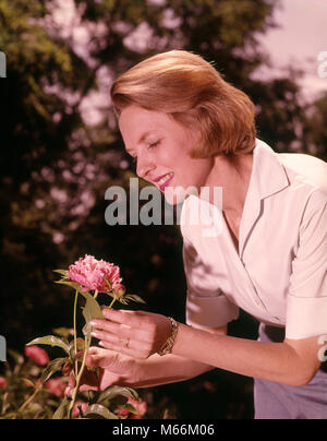 1960 FEMME en blouse blanche qui tend à la pivoine ROSE FLOWER GARDEN - kf4314 HAR001 HARS, mi-longueur MESDAMES GRAND SOIN NOSTALGIE 30-35 ans 35-40 ans OBJET UNIQUE BONHEUR CHOIX LOISIRS CHEMISIER FIERTÉ SOURIRES CROISSANCE JOYEUSE PIVOINE MID-ADULT MID-ADULT WOMAN ADMIRING PIVOINES à l'ANCIENNE Origine ethnique Caucasienne PERSONNES TENDANT Banque D'Images