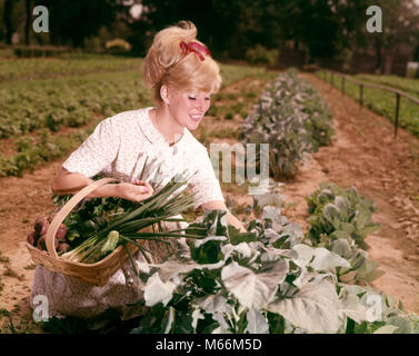 1960 SMILING BLONDE WOMAN HARVESTING LÉGUMES VERTS DE BACKYARD JARDIN - kg2350 HAR001 HARS HOME LIFE UNITED STATES COPIE ESPACE Dames demi-longueur des États-unis D'AMÉRIQUE DU SOL AGRICULTURE PLANTES nostalgie d'été de 20 à 25 ans 25 à 30 ANS LE BONHEUR DE RÉCOLTE BIEN-ÊTRE LUMINEUX NOURRIR LA CROISSANCE DE LA SAISON AUTOMNE JARDINS LIGNES afin d'économiser de l'argent de l'heure d'alimentation des jeunes adultes productifs PARCELLE BETTERAVES FEMME CAUCASIAN ETHNICITÉ VERTS OIGNONS ANCIENNE PERSONNES Journée ensoleillée potager cultivés Banque D'Images