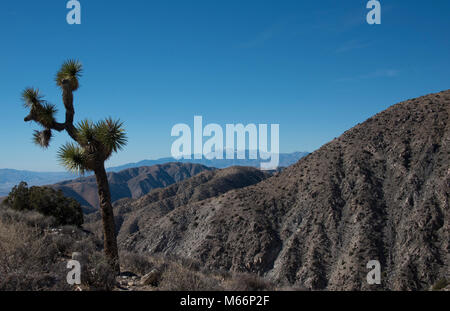 Téléphérique, Mt. San Jacinto, California Banque D'Images