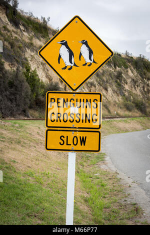 Pingouins Crossing Sign, Dunedin, île du Sud, Nouvelle-Zélande Banque D'Images