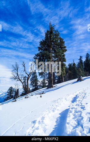 Trekking en hiver à l'Himalaya, sommet de Kedarkantha, Sankari, Inde du Nord. Uttarakhand. Banque D'Images