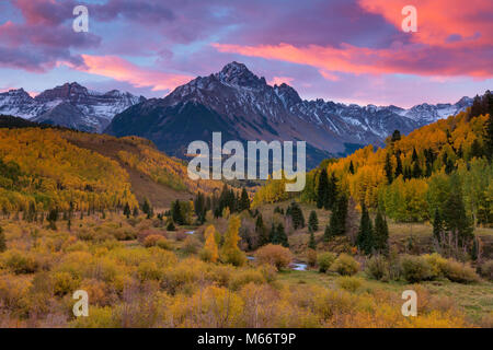 L'aube, le tremble, saule Marais, Mont Sneffels, Dallas, diviser Uncompahgre National Forest, Colorado Banque D'Images