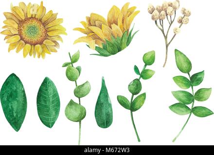 Clipart vecteur de tournesols. Fleurs rustiques. Pays aquarelle collection floral Illustration de Vecteur