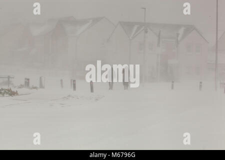 Larbert, Centre de l'Écosse. 1er mars 2018. Les piétons à la maison après avoir échoué à libérer leur voiture de la neige. Bête de l'Est Crédit : Thomas Gorman/Alamy Live News Banque D'Images