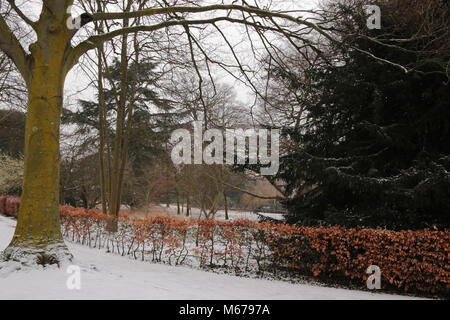 Carshalton, UK. 06Th Mar, 2018. que Storm Emma doit arriver en Angleterre en tout temps, la forme de la bête l'Est a fait des ravages en Angleterre, un gris et blanc très froid jour dans le sud de Londres, Carshalton Park, où l'oiseau ne semblent pas la peine par le gel, ni n'a peu de marcheurs et un père et sa fille qui sledged heureux dans le parc@Paul Quezada-Neiman/Alamy Live News Crédit : Paul/Quezada-Neiman Alamy Live News Banque D'Images