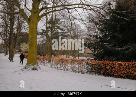 Carshalton, UK. 06Th Mar, 2018. que Storm Emma doit arriver en Angleterre en tout temps, la forme de la bête l'Est a fait des ravages en Angleterre, un gris et blanc très froid jour dans le sud de Londres, Carshalton Park, où l'oiseau ne semblent pas la peine par le gel, ni n'a peu de marcheurs et un père et sa fille qui sledged heureux dans le parc@Paul Quezada-Neiman/Alamy Live News Crédit : Paul/Quezada-Neiman Alamy Live News Banque D'Images