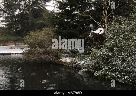 Carshalton, UK. 06Th Mar, 2018. que Storm Emma doit arriver en Angleterre en tout temps, la forme de la bête l'Est a fait des ravages en Angleterre, un gris et blanc très froid jour dans le sud de Londres, Carshalton Park, où l'oiseau ne semblent pas la peine par le gel, ni n'a peu de marcheurs et un père et sa fille qui sledged heureux dans le parc@Paul Quezada-Neiman/Alamy Live News Crédit : Paul/Quezada-Neiman Alamy Live News Banque D'Images