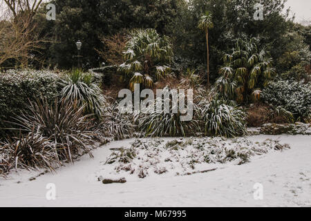 Carshalton, UK. 06Th Mar, 2018. que Storm Emma doit arriver en Angleterre en tout temps, la forme de la bête l'Est a fait des ravages en Angleterre, un gris et blanc très froid jour dans le sud de Londres, Carshalton Park, où l'oiseau ne semblent pas la peine par le gel, ni n'a peu de marcheurs et un père et sa fille qui sledged heureux dans le parc@Paul Quezada-Neiman/Alamy Live News Crédit : Paul/Quezada-Neiman Alamy Live News Banque D'Images