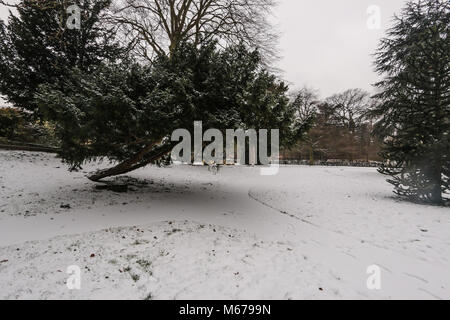 Carshalton, UK. 06Th Mar, 2018. que Storm Emma doit arriver en Angleterre en tout temps, la forme de la bête l'Est a fait des ravages en Angleterre, un gris et blanc très froid jour dans le sud de Londres, Carshalton Park, où l'oiseau ne semblent pas la peine par le gel, ni n'a peu de marcheurs et un père et sa fille qui sledged heureux dans le parc@Paul Quezada-Neiman/Alamy Live News Crédit : Paul/Quezada-Neiman Alamy Live News Banque D'Images