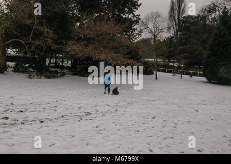 Carshalton, UK. 06Th Mar, 2018. que Storm Emma doit arriver en Angleterre en tout temps, la forme de la bête l'Est a fait des ravages en Angleterre, un gris et blanc très froid jour dans le sud de Londres, Carshalton Park, où l'oiseau ne semblent pas la peine par le gel, ni n'a peu de marcheurs et un père et sa fille qui sledged heureux dans le parc@Paul Quezada-Neiman/Alamy Live News Crédit : Paul/Quezada-Neiman Alamy Live News Banque D'Images