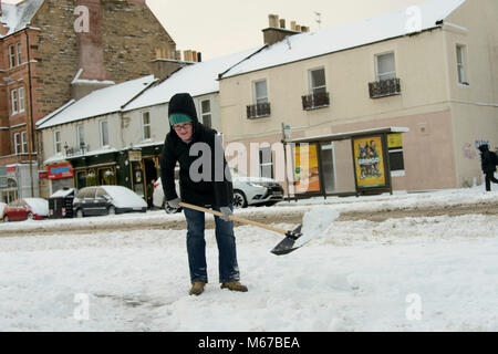 Edinburgh, Royaume-Uni. 06Th Mar, 2018. Jeudi 1er mars 2018 : Édimbourg, Écosse, Royaume-Uni Météo. La Bête de l'Est continue de provoquer des troubles partout au pays. De nombreuses personnes ont séjourné à la maison et les écoles sont fermées dans la plupart des régions du pays à la suite de plus fortes chutes de neige pendant la nuit. Une femme dans la neige pelles. Piershill Crédit : Andrew O'Brien/Alamy Live News Banque D'Images