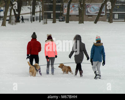 Edinburgh, Royaume-Uni. 06Th Mar, 2018. Jeudi 1er mars 2018 : Édimbourg, Écosse, Royaume-Uni Météo. La Bête de l'Est continue de provoquer des troubles partout au pays. De nombreuses personnes ont séjourné à la maison et les écoles sont fermées dans la plupart des régions du pays à la suite de plus fortes chutes de neige pendant la nuit. Les promeneurs de chiens dans les prés Crédit : Andrew O'Brien/Alamy Live News Banque D'Images