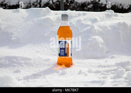 Glasgow, Ecosse, Royaume-Uni. 1er mars 2018. ​The alerte météo rouge pour l'Ecosse centrale a passé mais les fortes chutes de neige a mis la ville de Glasgow, à un arrêt presque. De nombreuses entreprises sont fermées en raison de la météo. Services de transport public par chemin de fer et d'autobus sont suspendues. La neige profonde dans Anniesand, Glasgow. © Garry Cornes / Alamy Live News Banque D'Images