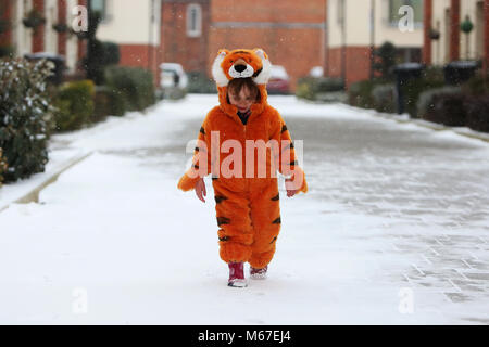 Chichester, West Sussex, UK. Florence, 2 photo, habillé comme le tigre qui est arrivé au plateau sur la Journée mondiale du livre 2018. Jeudi 1er mars 2018 © Sam Stephenson/Alamy Live News. Banque D'Images