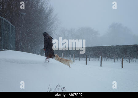 Edinburgh, Ecosse, Royaume-Uni. 1er mars 2018. Un homme âgé est à son labrador dans le blizzard au cours de la bête de la tempête de l'est d'Édimbourg, en Écosse. Credit : Iscotlanda/Alamy Live News Banque D'Images