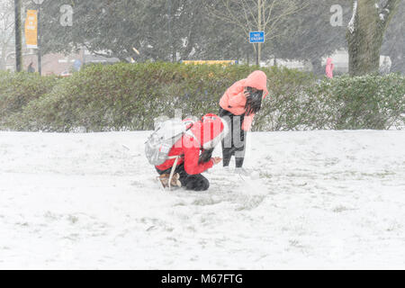 Southampton, Royaume-Uni. 1er mars 2018. Les étudiants de l'Université de Southampton (Royaume-Uni) qui apprécient la neige qui prennent des photos avec leurs appareils photo de téléphone mobile, mais l'université reste fermée pour le reste de la journée et le lendemain en raison des conditions météorologiques défavorables causées par ce que l'on appelle « la bête de l'est ». Banque D'Images