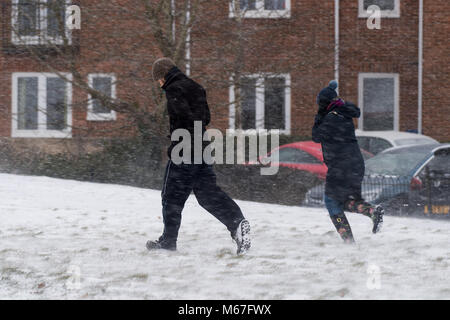 PENARTH, au Pays de Galles. 1er mars 2018. Storm Emma et 'La Bête de l'Est' ont frappé le Royaume-Uni, avec une alerte rouge pour la neige et le vent émis pour les régions entourant Cardiff, Newport, Pays de Galles du Sud, les vallées et le sud-ouest de l'Angleterre. Credit : Polly Thomas/Alamy Live News Banque D'Images