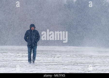 PENARTH, au Pays de Galles. 1er mars 2018. Un homme marche à travers un champ neigeux près de Cardiff. Storm Emma et 'La Bête de l'Est' ont frappé le Royaume-Uni, avec une alerte rouge pour la neige et le vent émis pour les régions entourant Cardiff, Newport, Pays de Galles du Sud, les vallées et le sud-ouest de l'Angleterre. Credit : Polly Thomas/Alamy Live News Banque D'Images