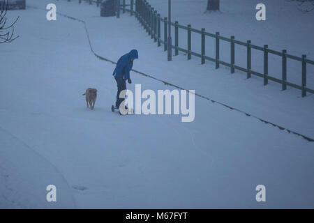 Cardiff, Wales, UK, 1er mars 2018. Un homme et son chien profitez de la neige dans la banlieue de Cardiff pour une journée de fortes chutes de neige dans une grande partie de la Grande-Bretagne. Credit : Mark Hawkins/Alamy Live News Banque D'Images