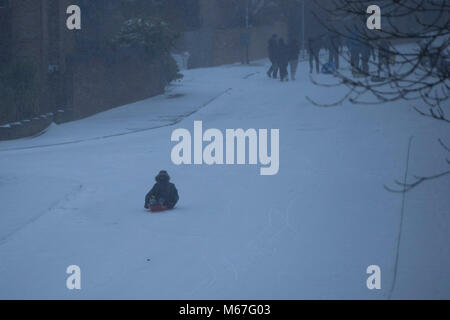 Cardiff, Wales, UK, 1er mars 2018. Les gens vers le bas une route en pente de traîneau dans la banlieue de Cardiff pour une journée de fortes chutes de neige dans une grande partie de la Grande-Bretagne. Credit : Mark Hawkins/Alamy Live News Banque D'Images