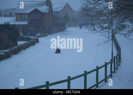 Cardiff, Wales, UK, 1er mars 2018. Les gens vers le bas une route en pente de traîneau dans la banlieue de Cardiff pour une journée de fortes chutes de neige dans une grande partie de la Grande-Bretagne. Credit : Mark Hawkins/Alamy Live News Banque D'Images