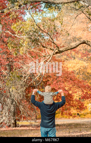 De parc à l'automne Banque D'Images