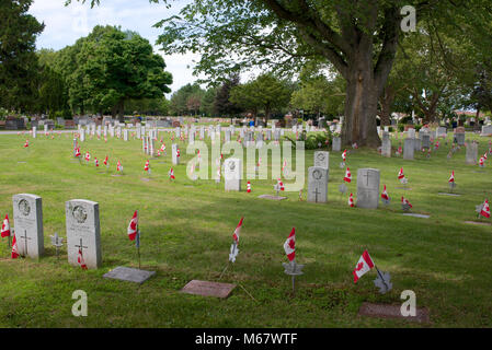 Drapeaux en l'honneur des membres des forces canadiennes qui ont été perdus dans l'action, Victoria Lawn Cemetery, St Catharines, Ontario, Canada Banque D'Images