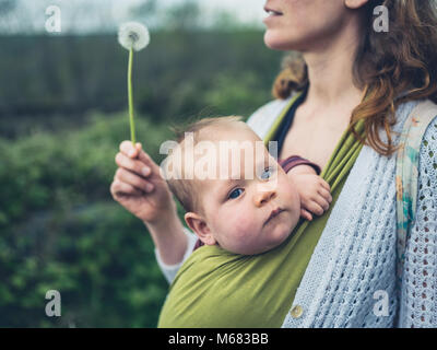 Une jeune mère avec un bébé dans une écharpe souffle les graines d'un pissenlit Banque D'Images