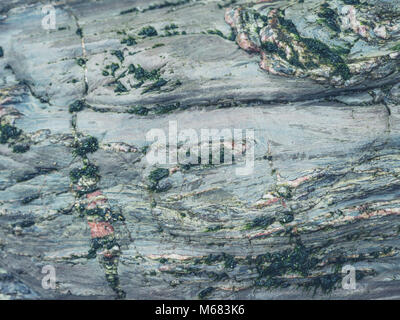 Rocks avec de la mousse et la croissance végétative Banque D'Images